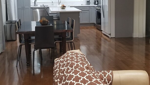 A modern kitchen with white cabinets, a dining area with a table and chairs, and a patterned sofa. - Newly Renovated Open-Concept living space, close to Boston, plenty of parking (Milton)