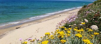 Mediterranean vacation homes by the sea in a quiet location, with garden & barbecue