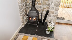 A stone fireplace with a black stove, a wooden mantel, and a potted orchid. - Celyn (Ruthin)