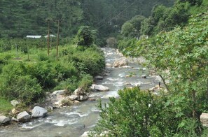 Surrounded by lush greenery and hills, this serene valley features a flowing river with visible rocks and vegetation.