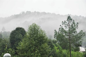 Escape to a serene natural setting surrounded by lush greenery and a mist-covered hill.