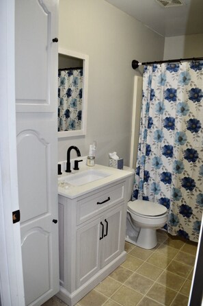 Combined shower/tub, hair dryer, towels, soap