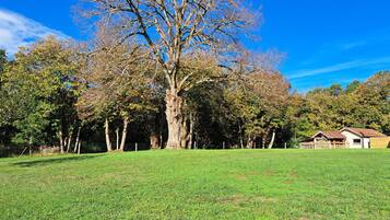 Enceinte de lâhĂ©bergement