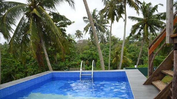 Ein Swimmingpool mit blauer Fliesenbordur, umgeben von Palmen und einer Holzterrasse.