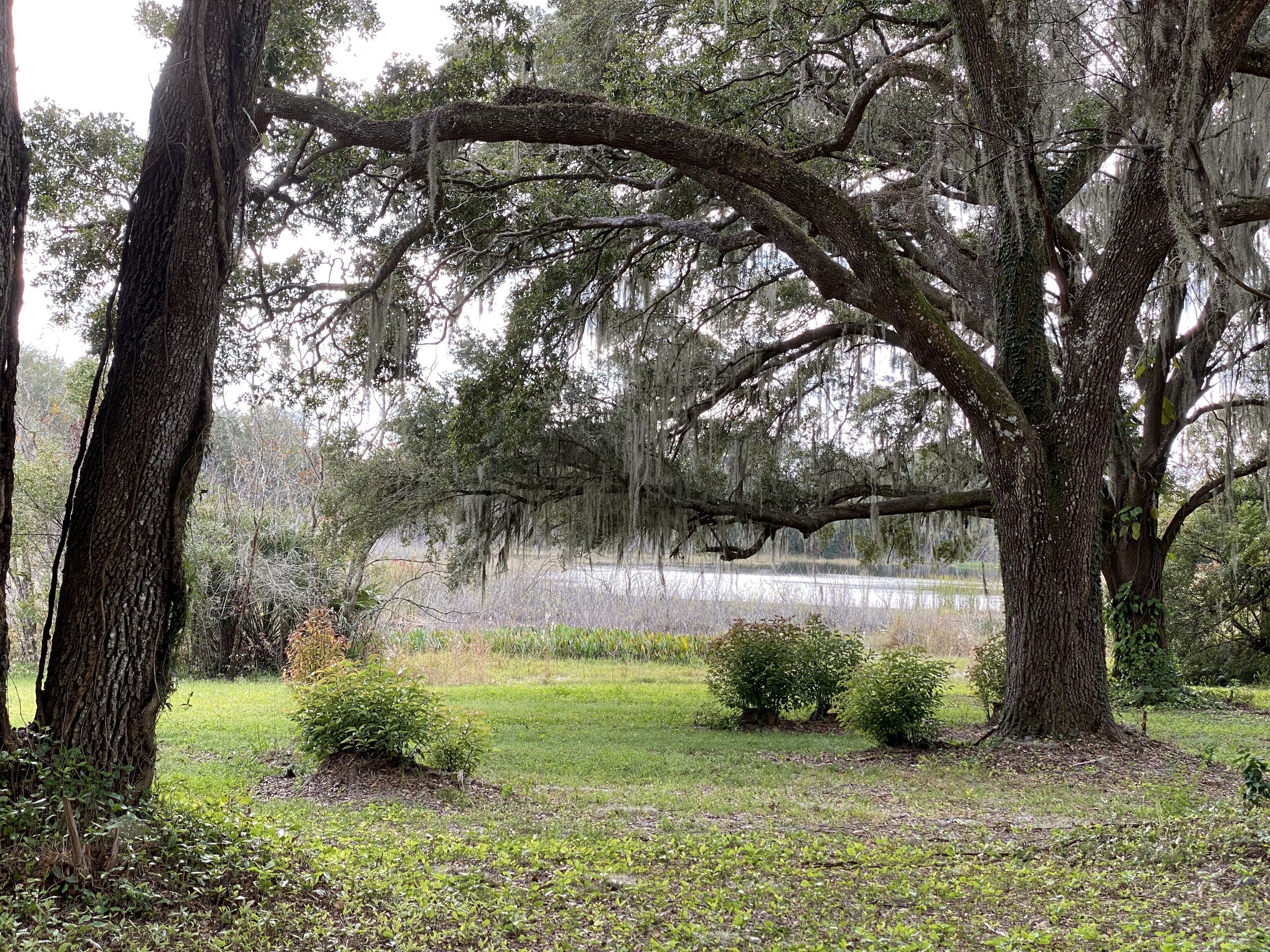 Paradise @ Lady Lake Minutes from the Villages, Ocala Forest, & Florida Springs.