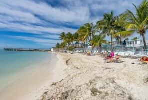 Ein Strand mit Palmen, einem Steg und Menschen, die im Sand entspannen.