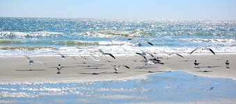 Pet-Friendly Comfort in the Scenic North Myrtle Beach Area - Ocean Dunes Villa I