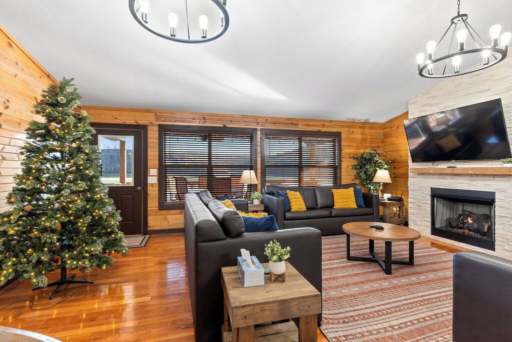 Smart TV, fireplace, DVD player, books