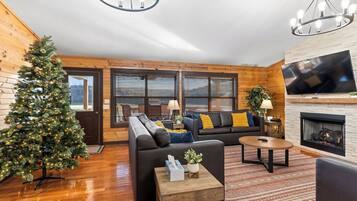 Smart TV, chimenea, reproductor de DVD y libros