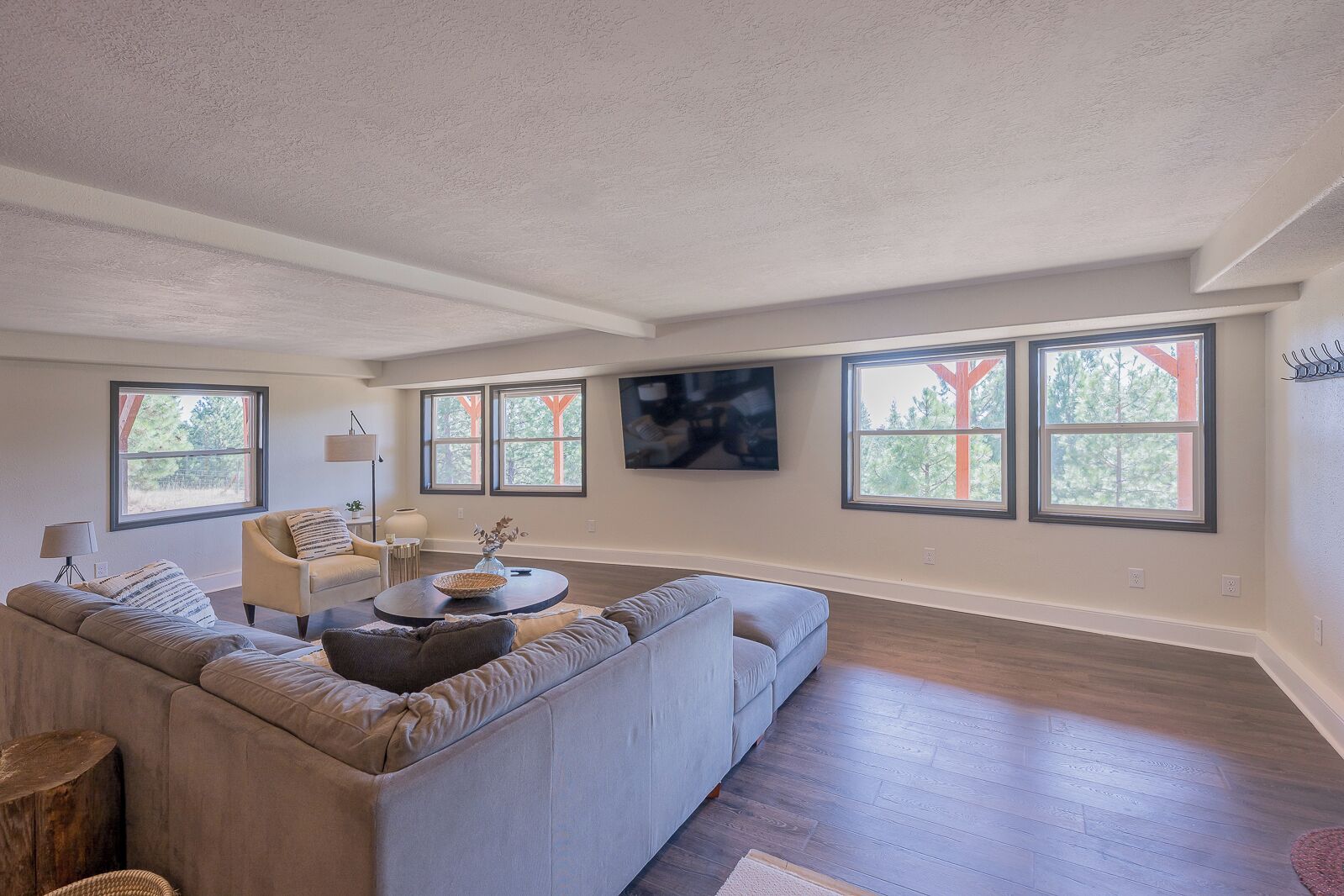 智能电视、壁炉