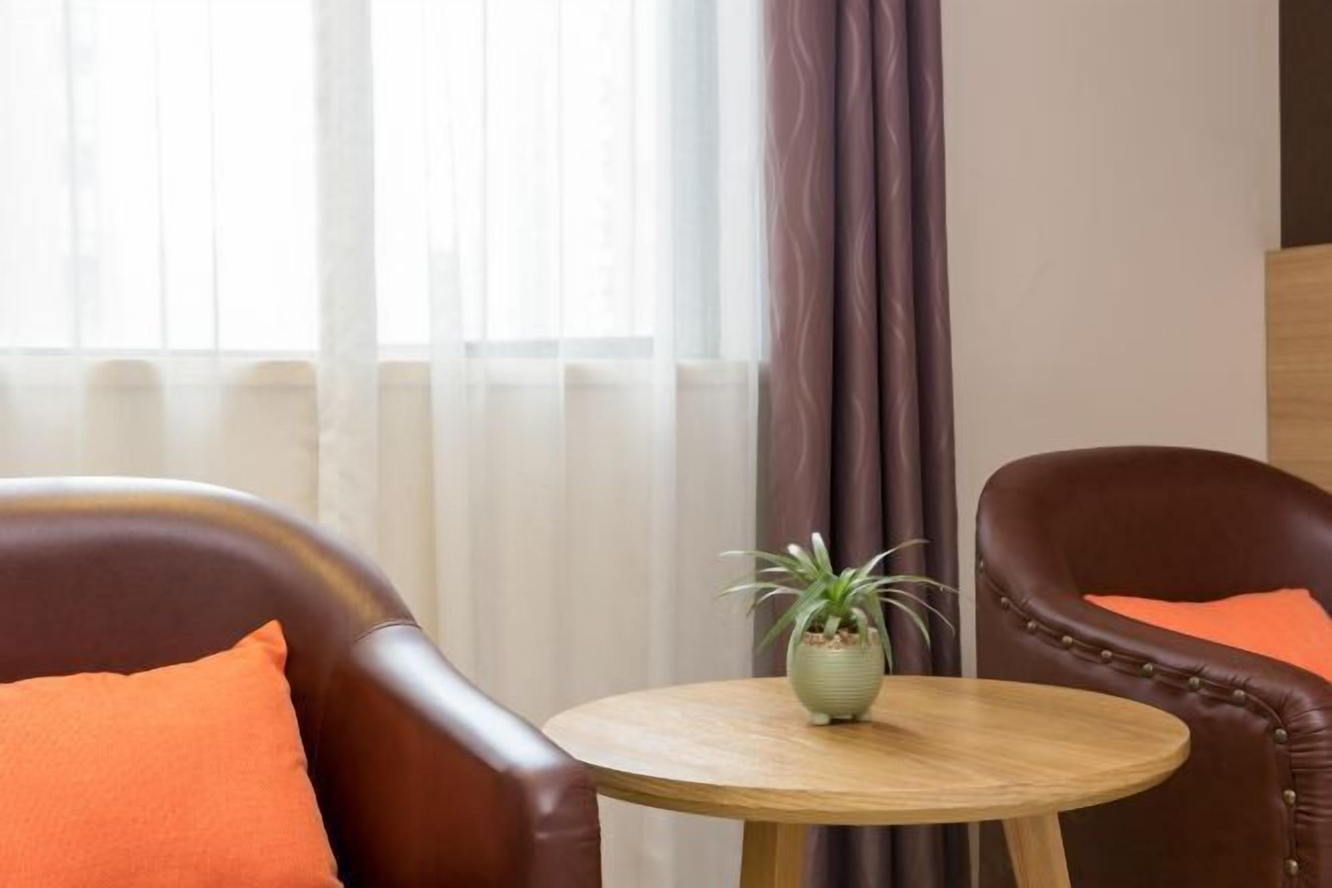 A room with two leather armchairs, a small wooden table with a potted plant, and sheer curtains.
