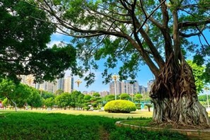 未分類圖片，第 5 張 (共 53 張)，按鈕