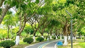 A curved pathway lined with trees and bushes, leading to a building entrance. - Sunny Holiday Hotel (Shishi)