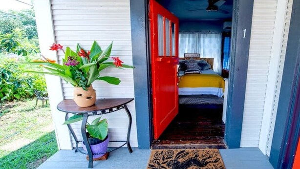 A small room with a bed, a red door, and a potted plant on a table. - Downtown Studio Gem (Nacogdoches)