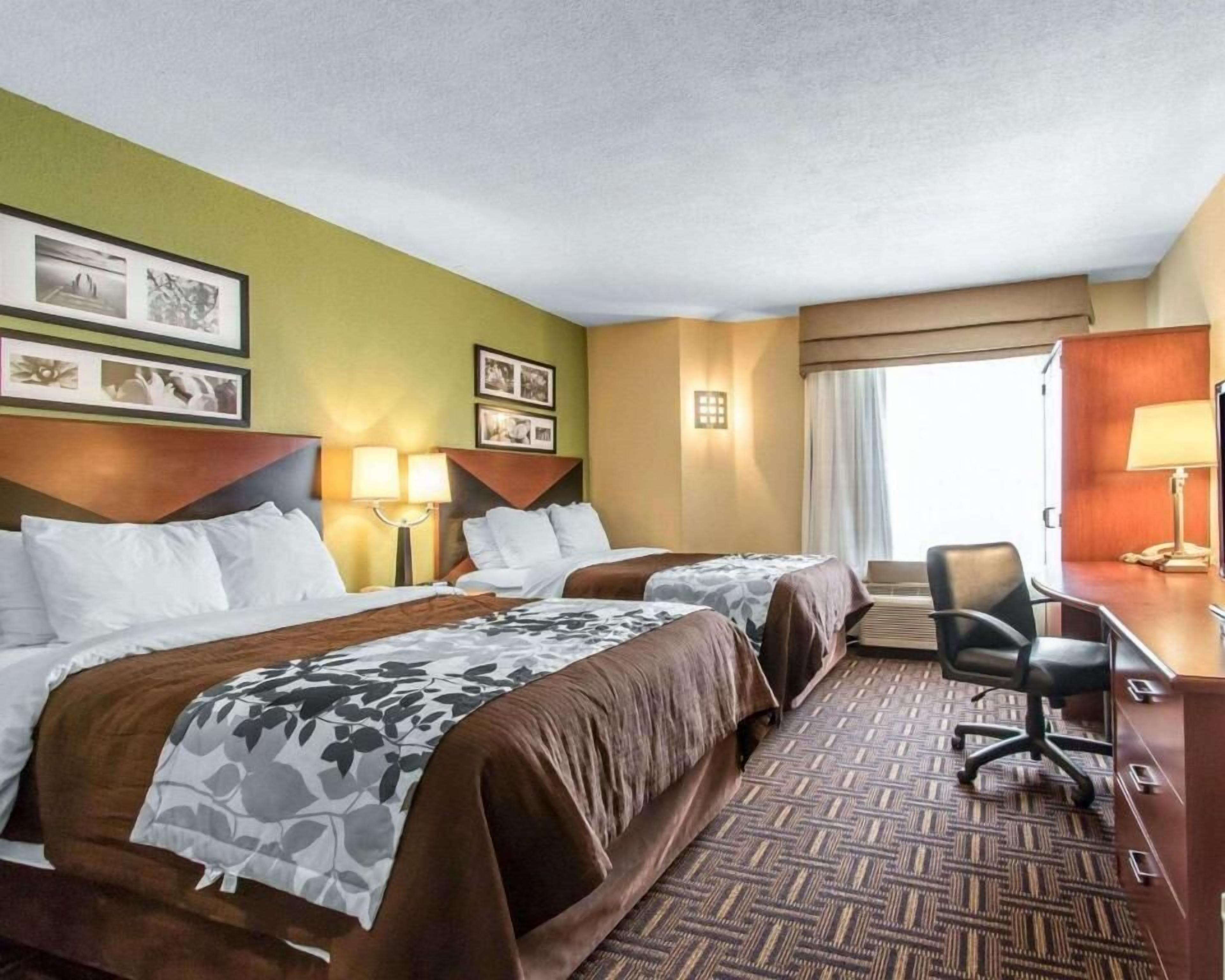 standard double room, 2 double beds | desk, iron/ironing board, free wifi, bed sheets