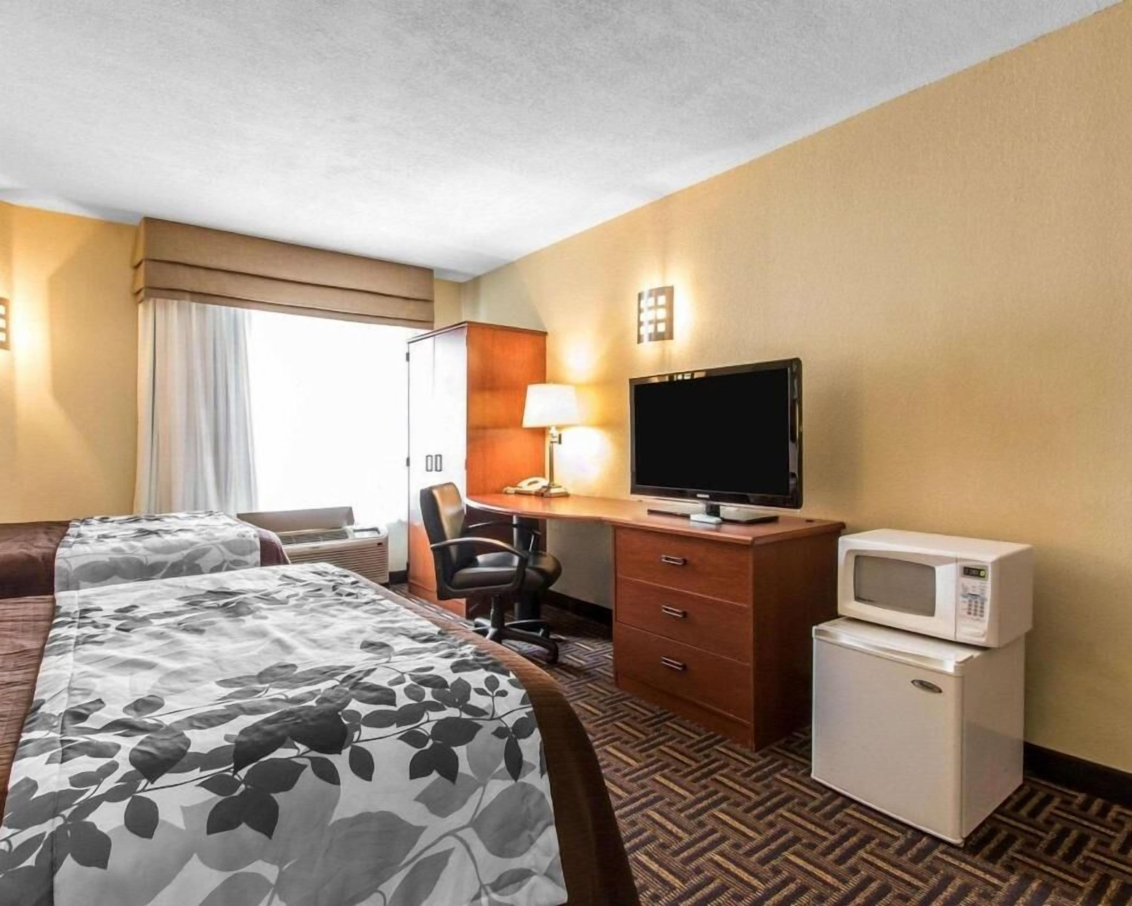 standard double room, 2 double beds | desk, iron/ironing board, free wifi, bed sheets