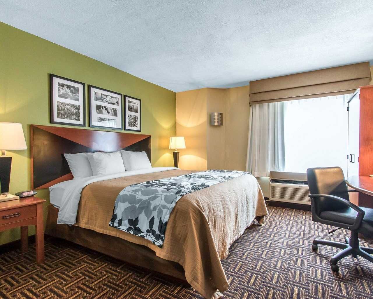 Standard Single Room, 1 King Bed | Desk, iron/ironing board, free WiFi, bed sheets