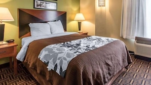 Une chambre d’hôtel avec un lit, deux lampes de chevet, un luminaire fixé au mur, une fenêtre avec des rideaux et un tapis à motifs.