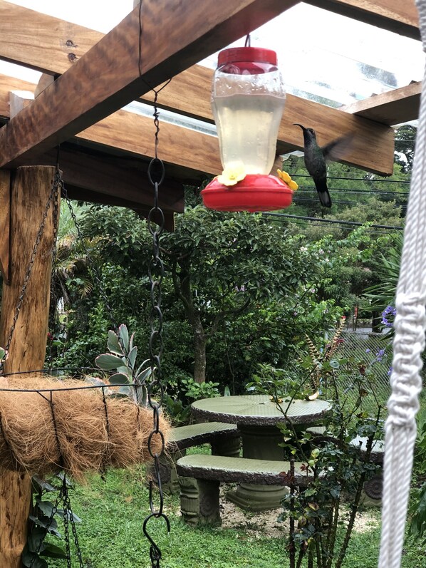 A wooden pergola with a hanging bird feeder. - welcoming you into our home with a luxurious private space of your own! (Monteverde)