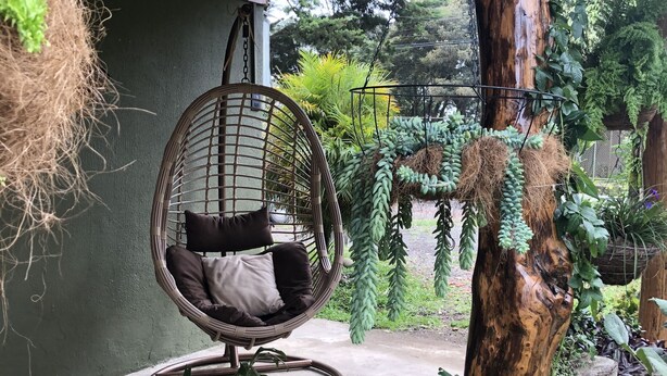 Una silla de mimbre con cojines, una planta colgante y el tronco de un árbol en un espacio exterior cubierto.