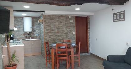 Typical house in the heart of the Douro