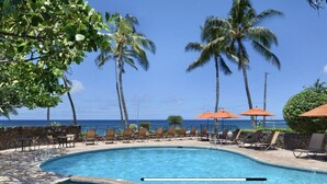 A pool area with lounge chairs and umbrellas, palm trees, and a view of the ocean. - KAUAI BEST DEAL!!!!   1-10-25 thru 1-17-25    - Sleeps 8 (Koloa)