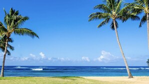 A beach with palm trees and the ocean. - KAUAI BEST DEAL!!!!   1-10-25 thru 1-17-25    - Sleeps 8 (Koloa)