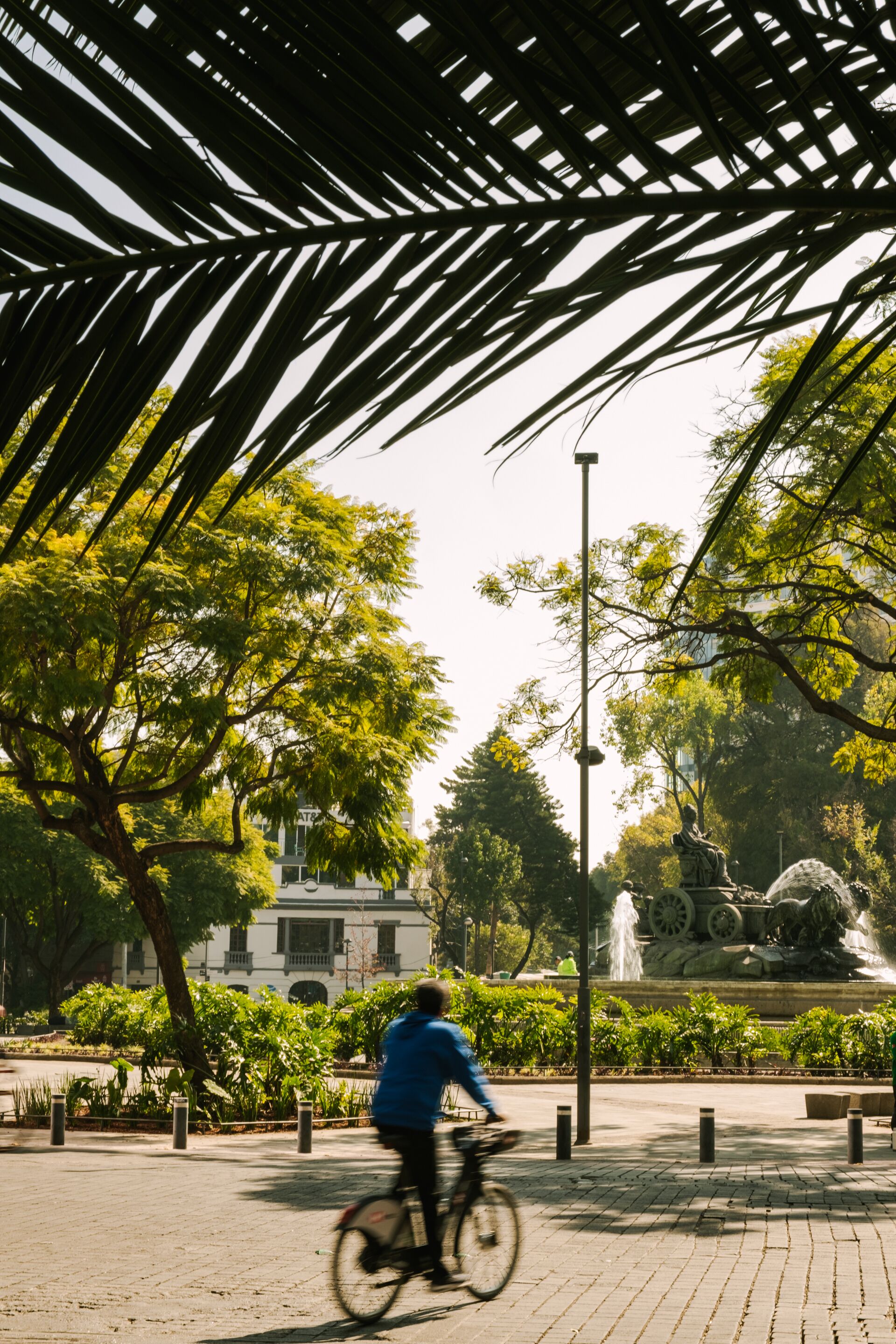 Foto - Sonder Cóporo