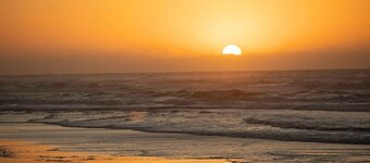 Bowie & Jay's Beach House - Pet Friendly