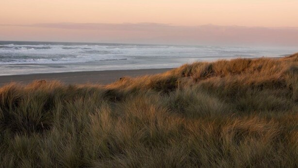 Una playa con dunas cubiertas de hierba y vista al océano.