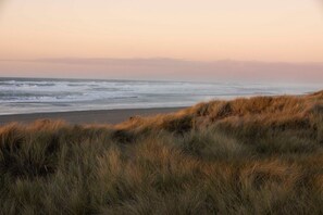 Un paisaje costero con una playa y dunas cubiertas de hierba.