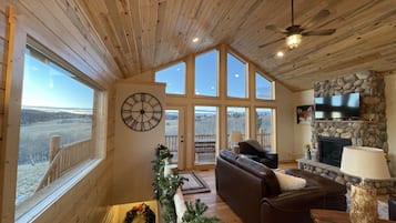 TV, fireplace, DVD player