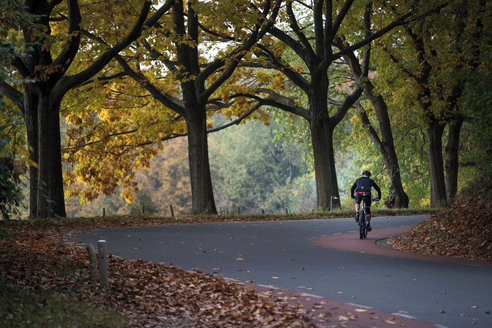 Hotel Valkenburg by Mercure by null
