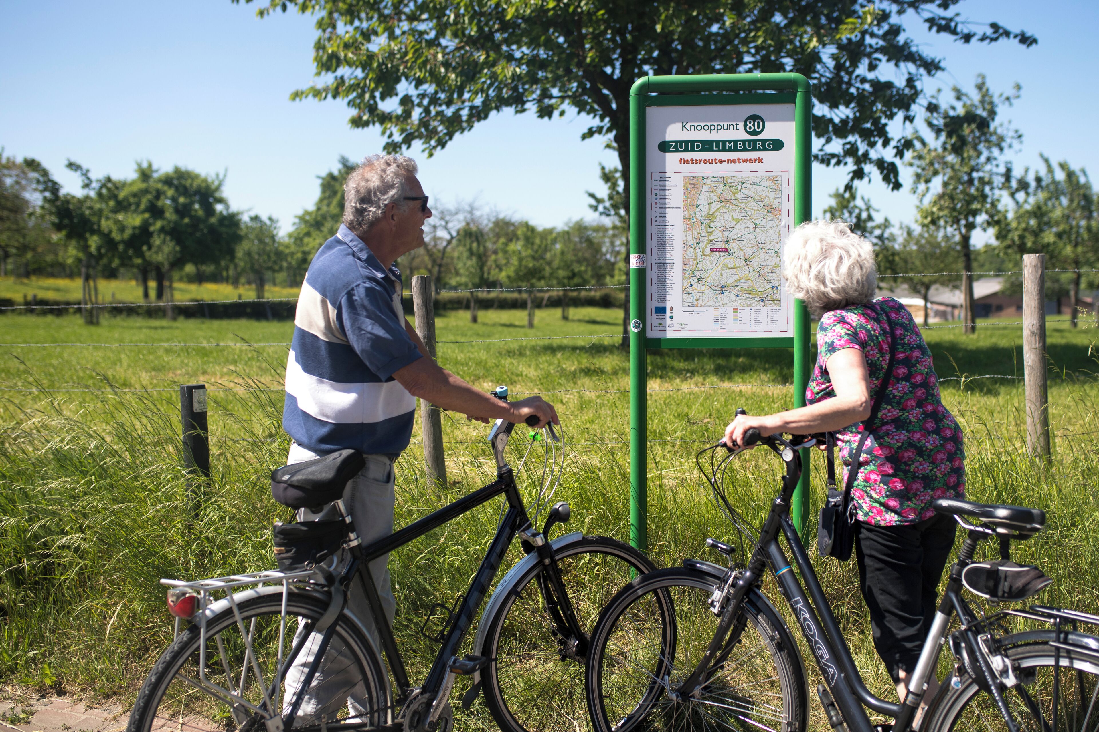 Two people examining a green signpost with a map in a grassy field.