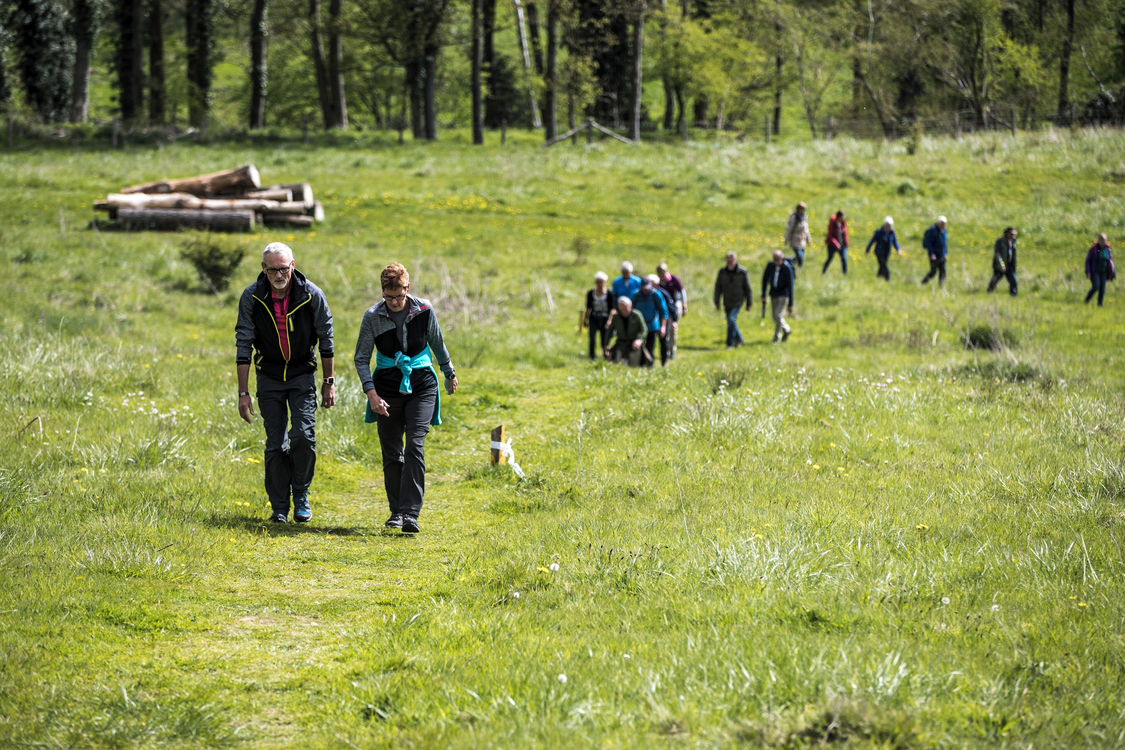 Ein grünes Feld mit Menschen und einem Hund.