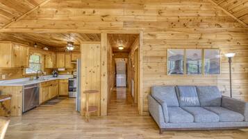 Smart TV, fireplace, video library