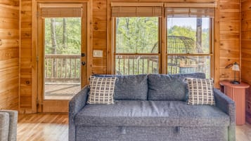 Smart TV, fireplace, video library