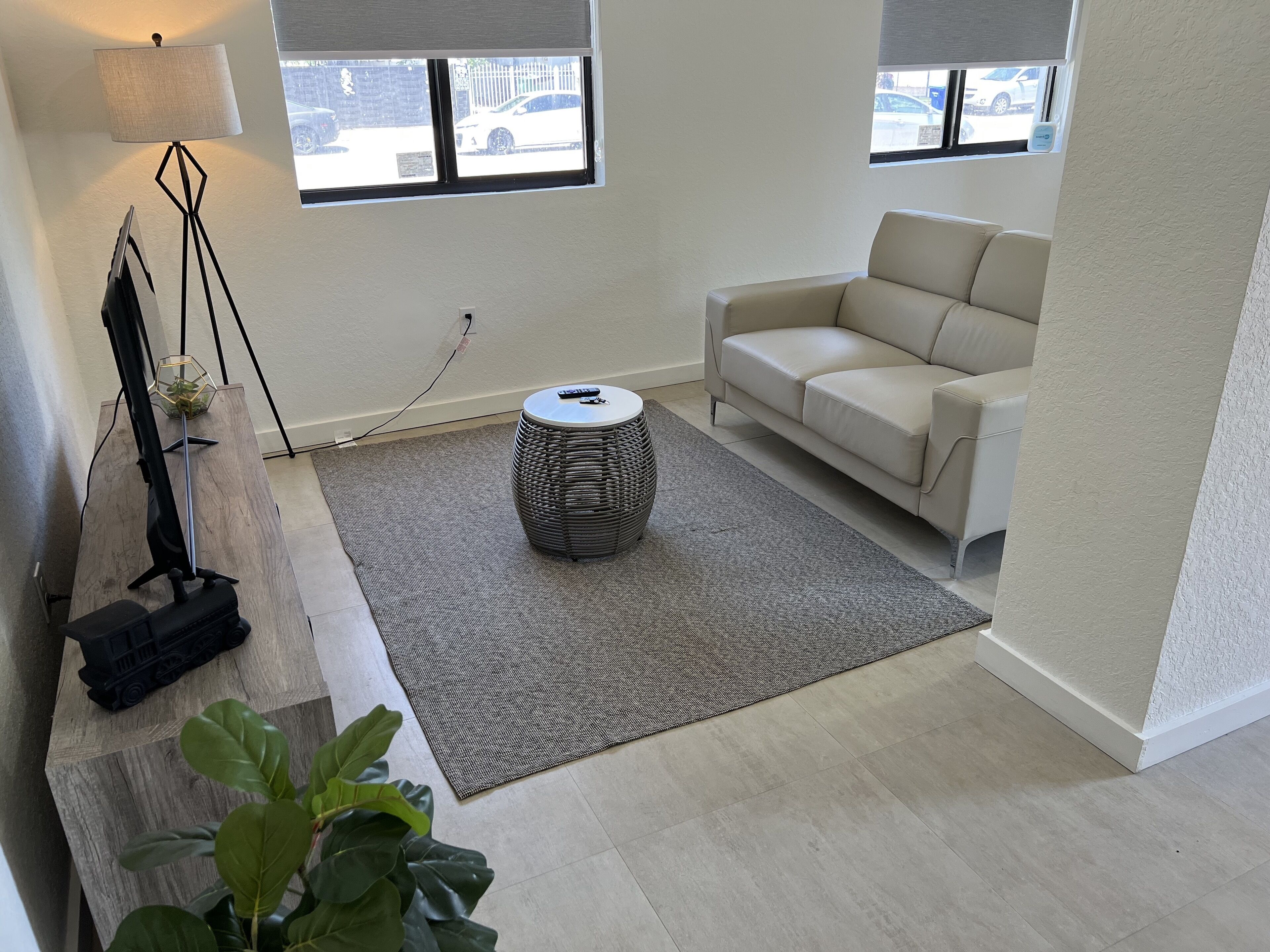 A modern living room with a sofa, a lamp, a small table, and a plant.