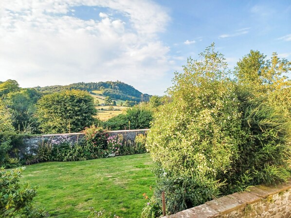 Terrain de l’hébergement 