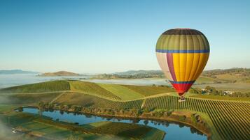 A hot air balloon over a vineyard with rows of grapevines and a body of water below.