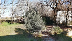 A garden with a paved path, a small tree, and a white building in the background. - O Nature, cherish my wishes before they run away (Francescas)