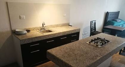 Beautiful loft-style apartment