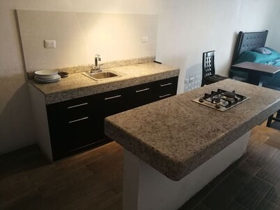 Beautiful loft-style apartment