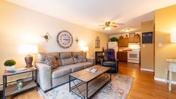 智能电视、壁炉