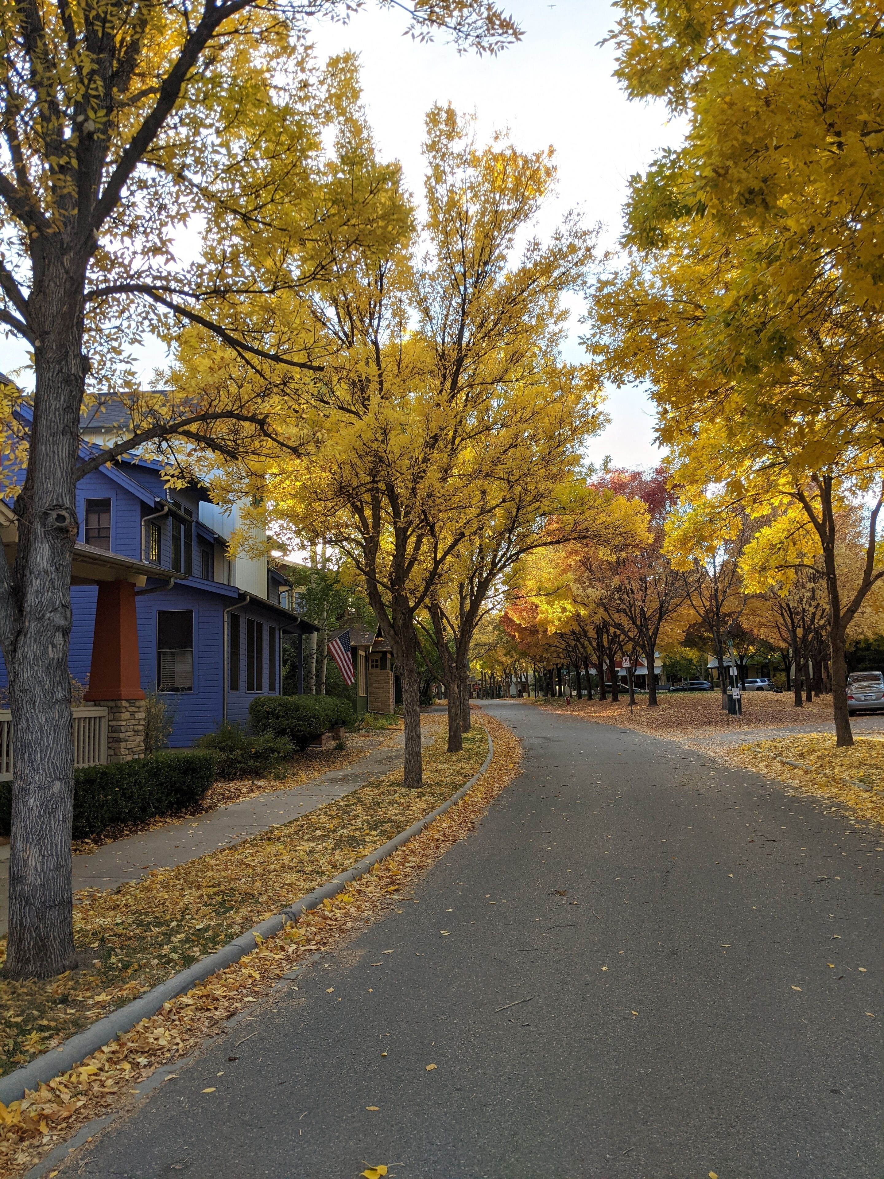 A residential street lined with trees displaying autumn foliage.