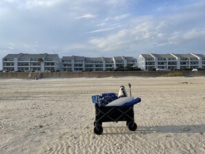 Beach nearby, sun-loungers, beach towels - TheView210 2bed 2bath Beachfront Babe’s Beach Hot Tub Pool Pickle Tennis court (Galveston)