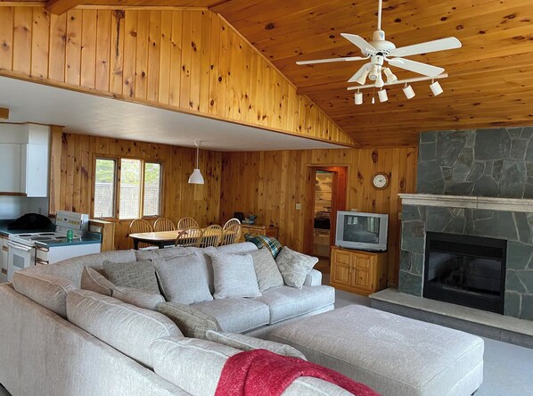 Smart TV, fireplace, books, video library