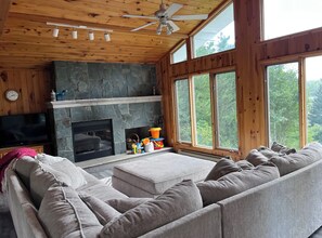 Smart TV, fireplace, books, video library