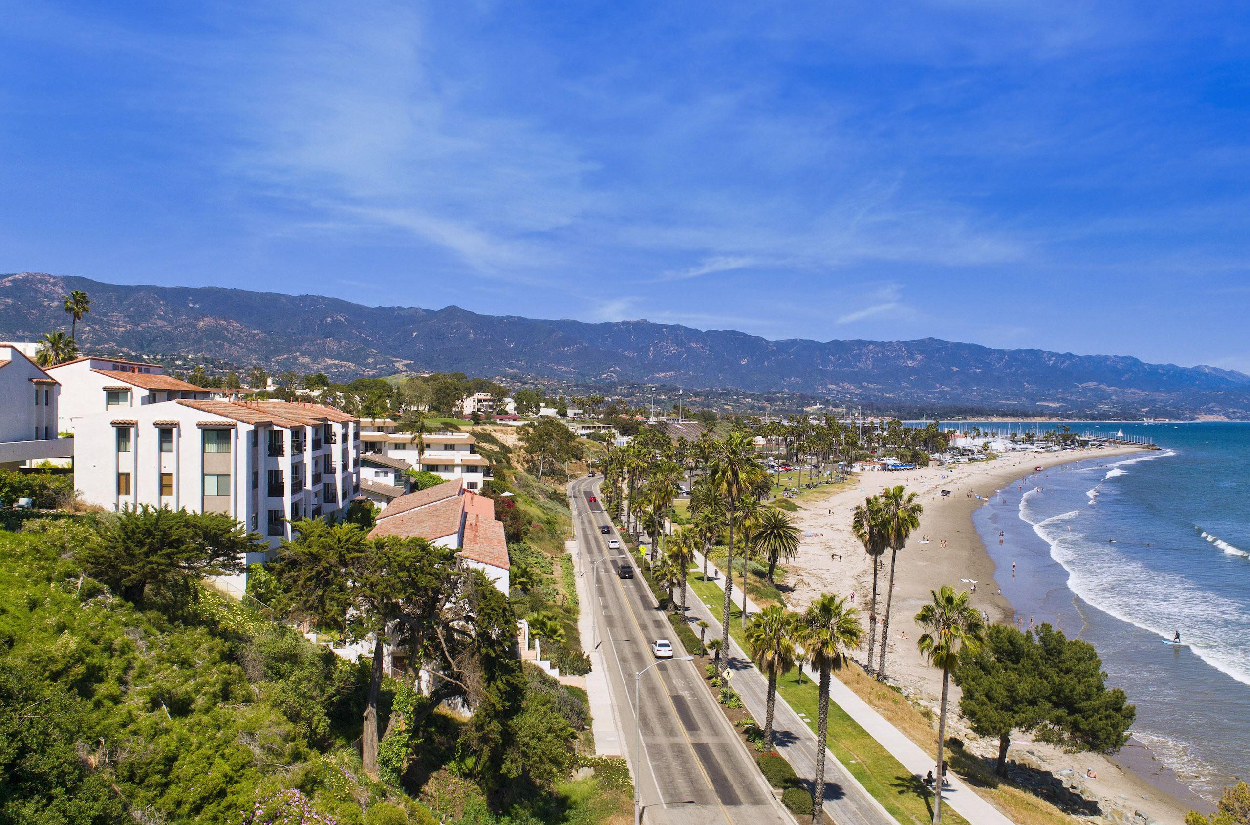 A coastal road with buildings and palm trees.