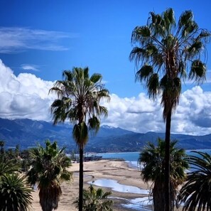 A beach with palm trees and mountains in the background.